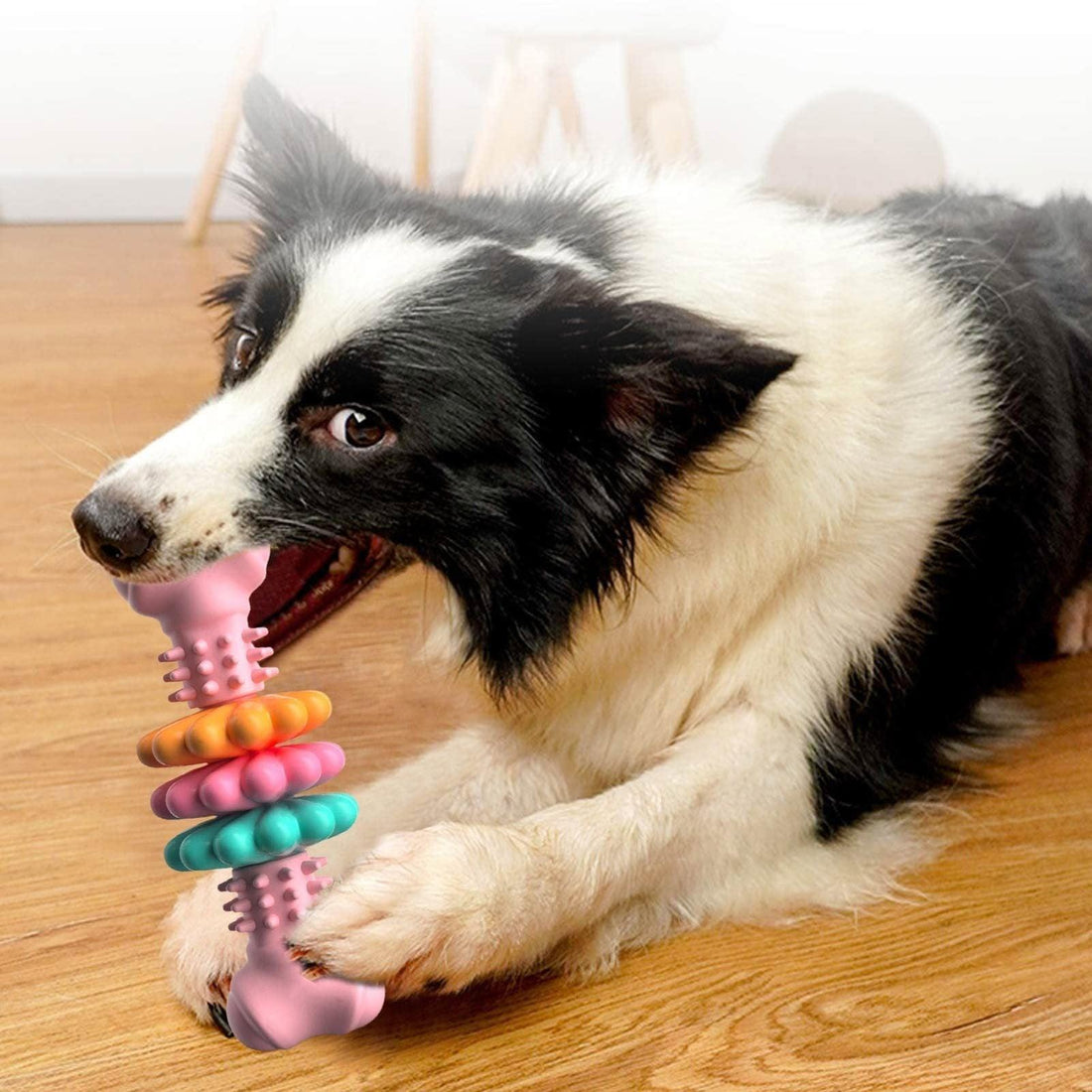 Dog Bite Resistant Teething Bone Chew Toy