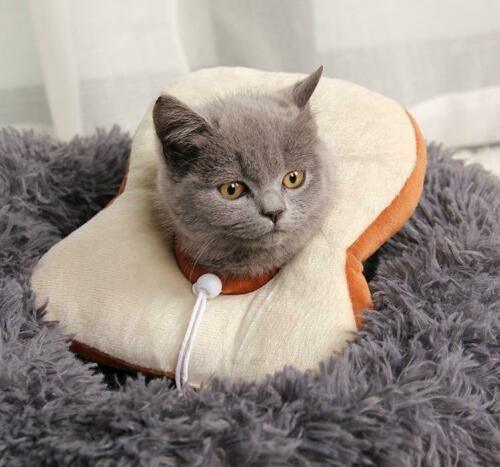 Cute Soft Cat Recovery Neck Collar