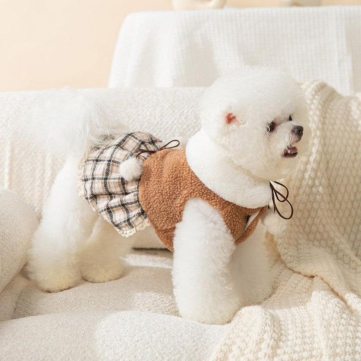 Teddy Bear Small Pet Winter Dress