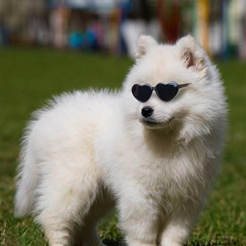 Heart Shaped Trendy Pet Sunglasses