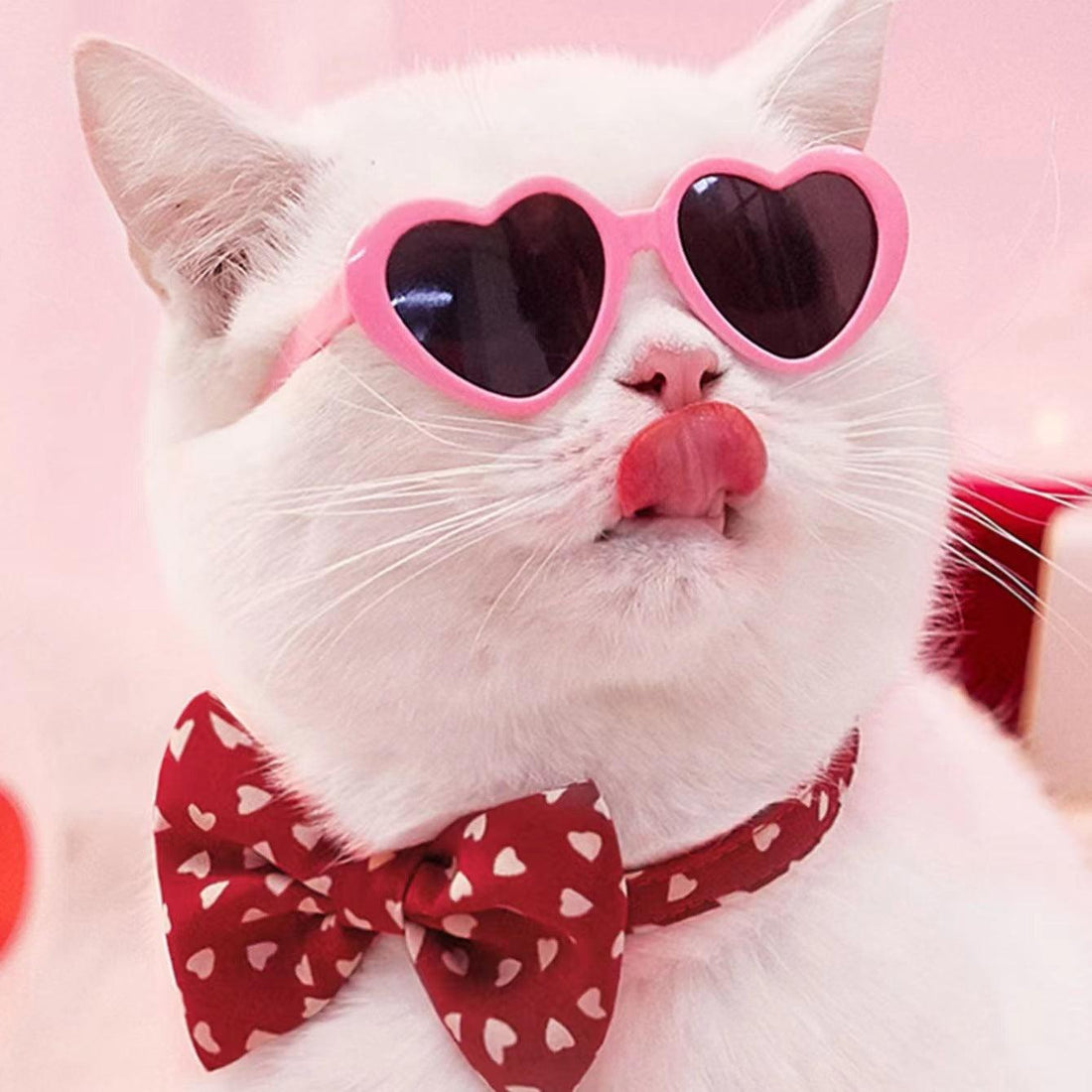 Heart Shaped Trendy Pet Sunglasses