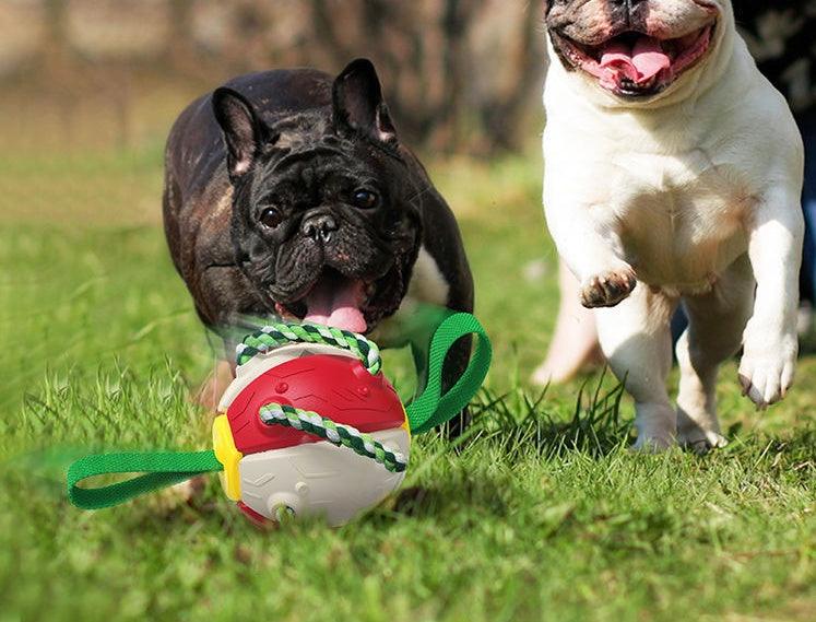 Interactive Dog Training Soccer Football