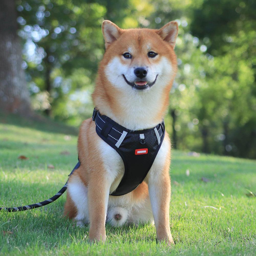 No Pull Breathable Reflective Pet Harness